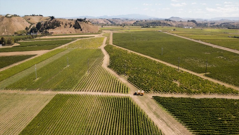 Pask Wines Pask Wines