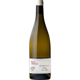 DAVID MOREAU BOURGOGNE ALIGOTÉ les TILLES 2023