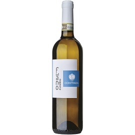 CONTRADA FIANO di AVELLINO DOCG 2023